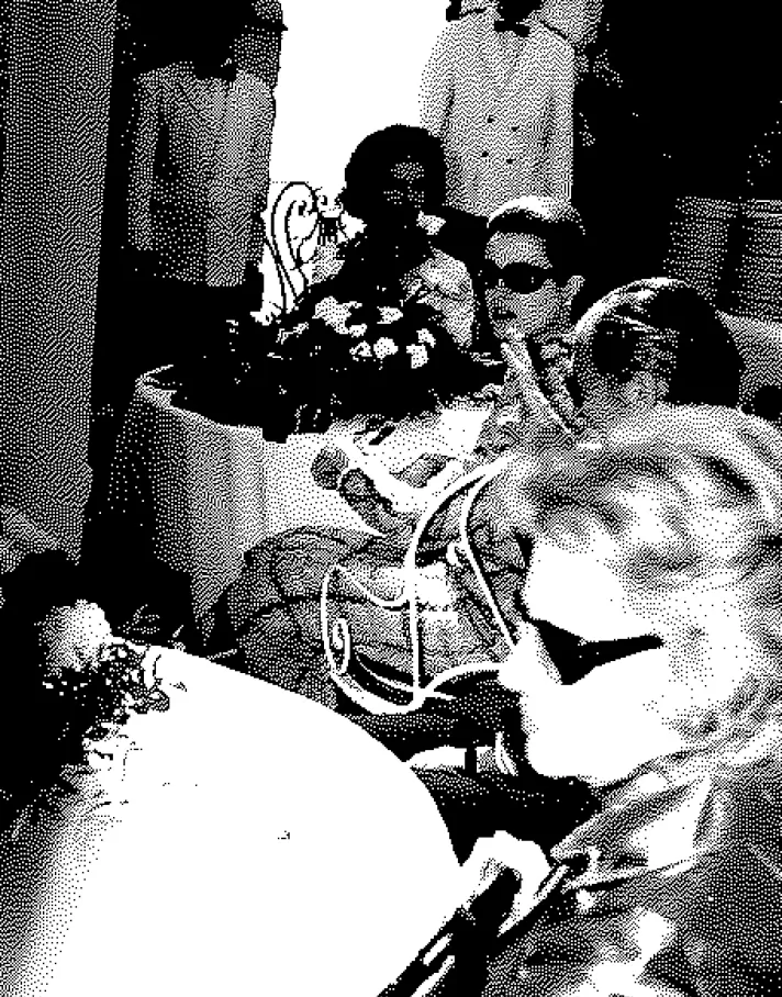 Star La Chèvre d'Or