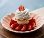 Dégustation de pâtisseries