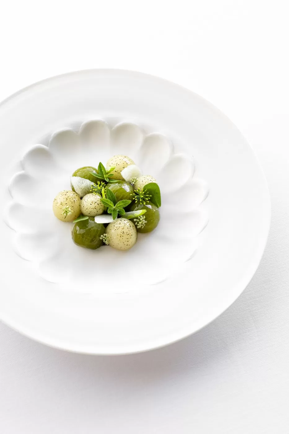 Le goût de l’émotion